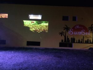 IMG_8926